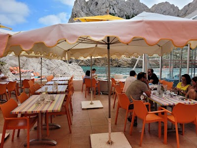 Photo 1 de Restaurant La Baie des Singes