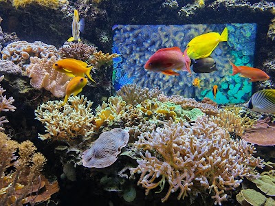 Photo 2 de Océanopolis