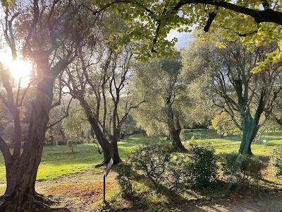 Photo 3 de Musée Renoir