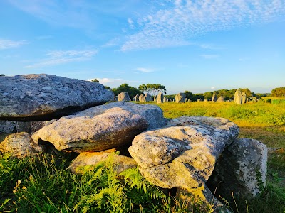 Photo 3 de Alignements de Carnac