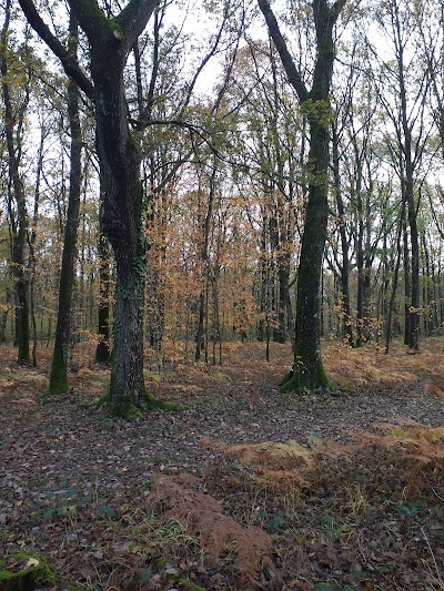Photo 2 de Espace naturel des Rouchoux
