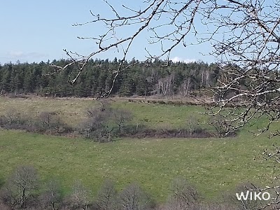 Photo 4 of Salvaris
