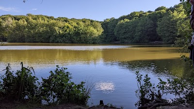 Photo 2 de Clairmarais