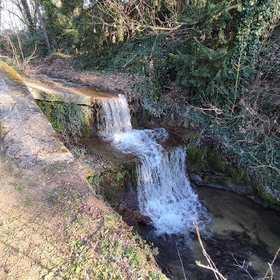 Photo 4 de Bois des Naix