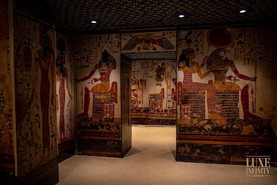 Photo 2 de Musée de Tessé