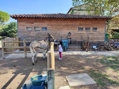 Photo 4 of Le Collet des Comtes