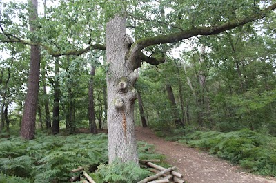 Photo 3 de La Maison de l'Eau (Arche de la Nature)