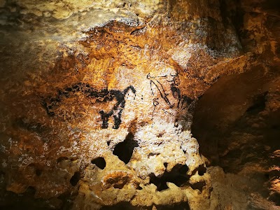 Photo 5 de Lascaux IV Centre International de l'Art Pariétal