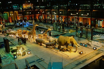 Photo 1 de Grande Galerie de l'Évolution