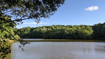 Photo 5 de Clairmarais