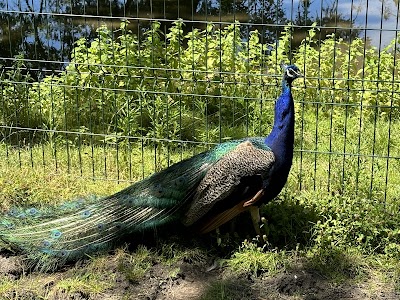 Photo 5 of Parc René Canivenc