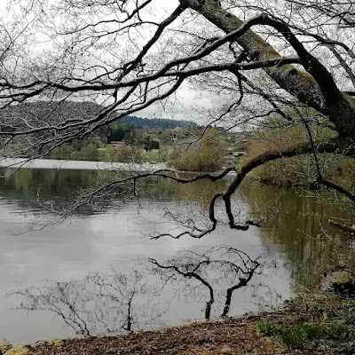 Photo 4 de Lac d'Aydat