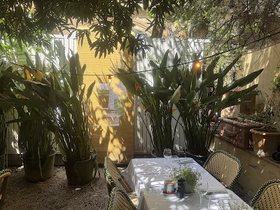 Photo 2 de Le Singe Vert