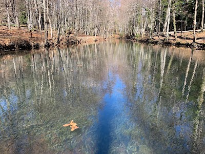 Photo 4 of Lac de Charance