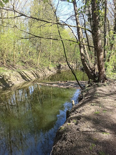 Photo 3 of Bois de Warwamme
