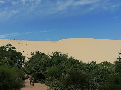 Photo 4 de Dune de Pilat