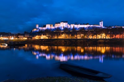 Photo 4 de Forteresse Royale de Chinon