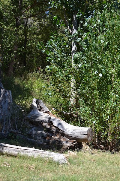 Photo 4 of Lac de Carcès