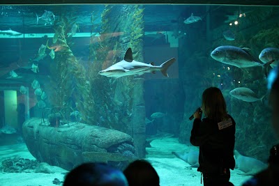 Photo 3 de Seaquarium du Grau-du-Roi