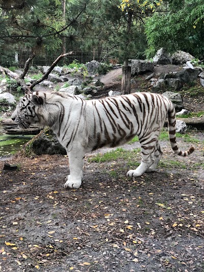 Photo 5 de Zoo de Bordeaux-Pessac