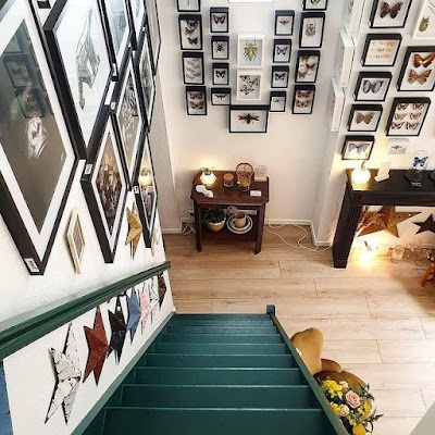 Photo 2 de Le Magasin Moderne
