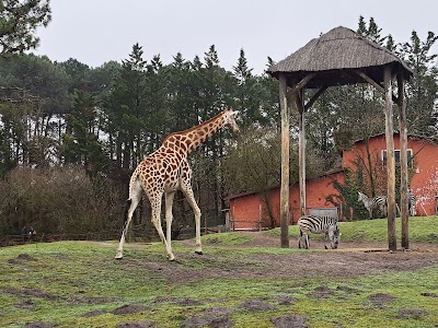 Photo 4 de Zoo de Bordeaux-Pessac