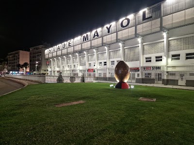 Stade Mayol