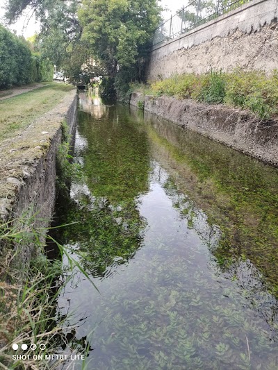 Photo 2 de Canal De Chateauvert