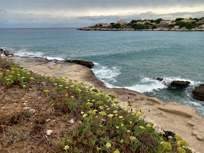 Photo 3 of Plage la couronne