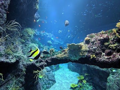 Photo 3 de Aquarium de Biarritz