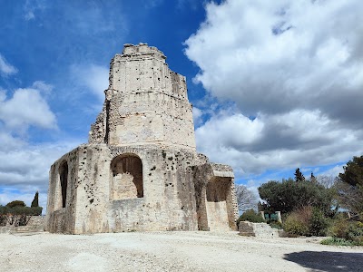 Tour Magne