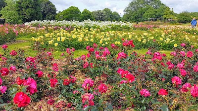 Photo 2 de Parc Floral la Roseraie