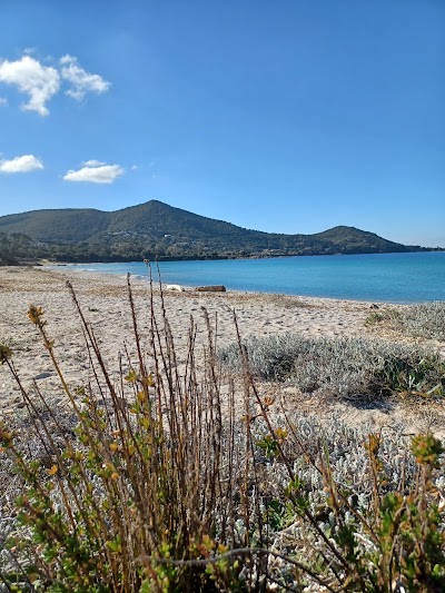 Photo 5 de Plage de Mare É Sole