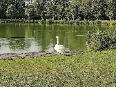 Photo 5 de Parc de la Hotoie