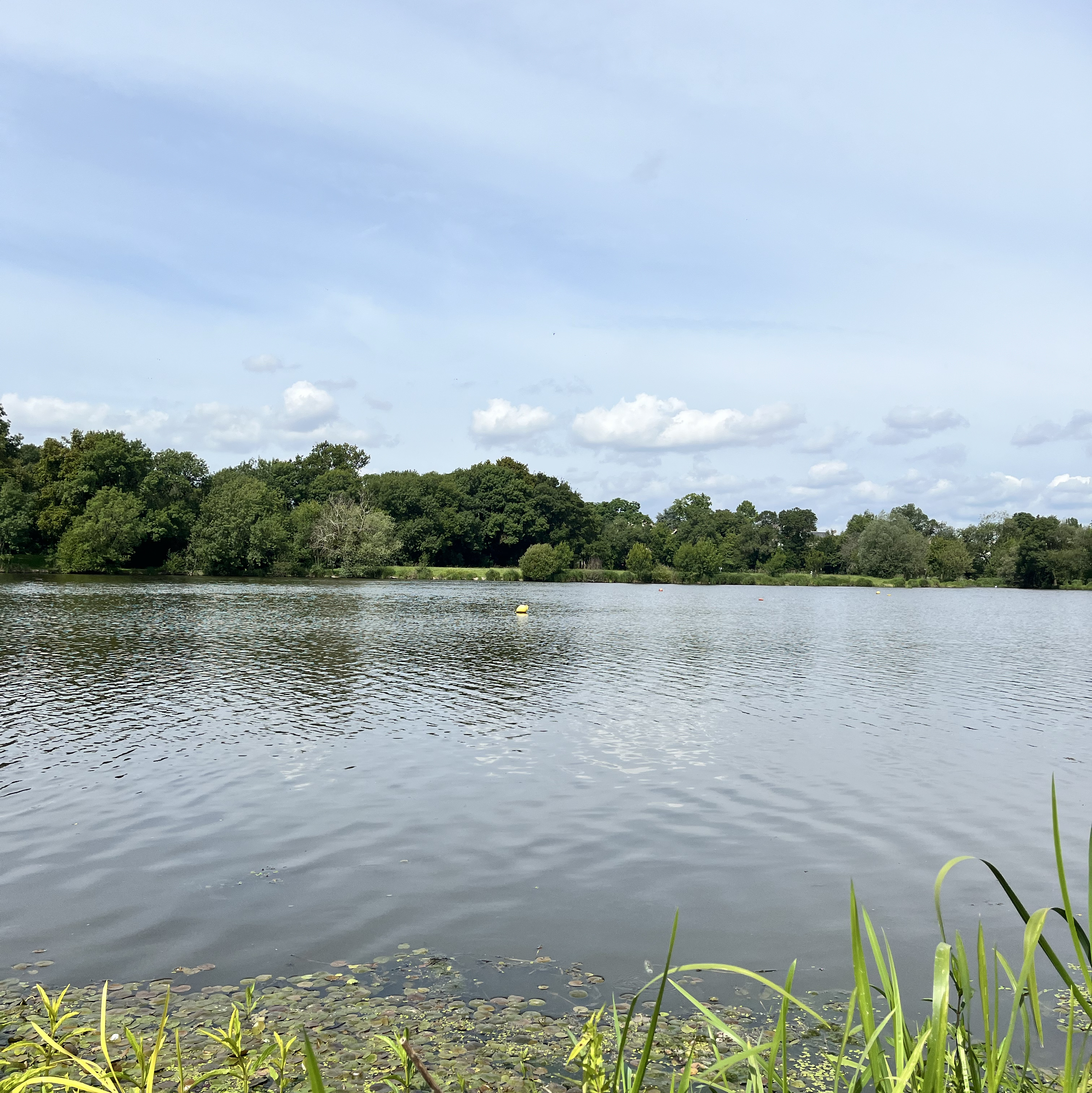 Photo 2 de Parc du Loiry