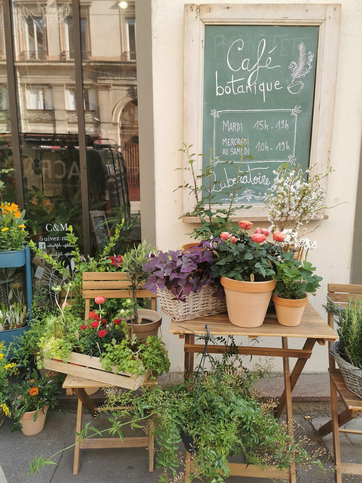 Photo 4 de Un Brin De Folie, Fleuriste de saison & café