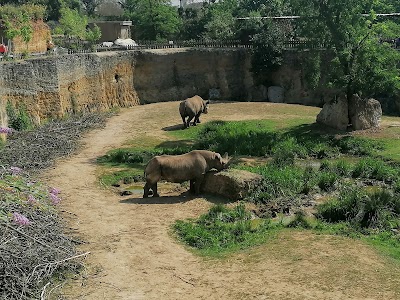 Photo 2 de Bioparc de Doué-la-Fontaine