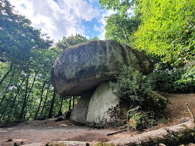 Photo 1 de Forêt de Huelgoat