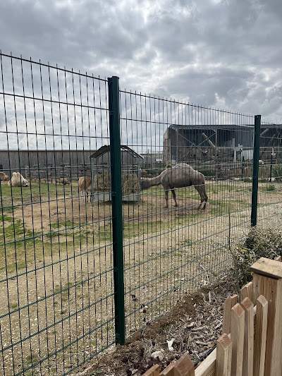 Photo 3 de La Tanière - Zoo refuge