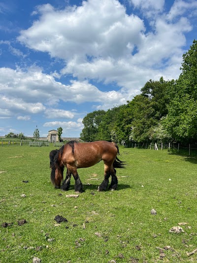 Photo 3 de Les Fermes de Gally - Ferme pédagogique