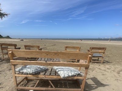 Photo 2 de LE SPOT HONFLEUR