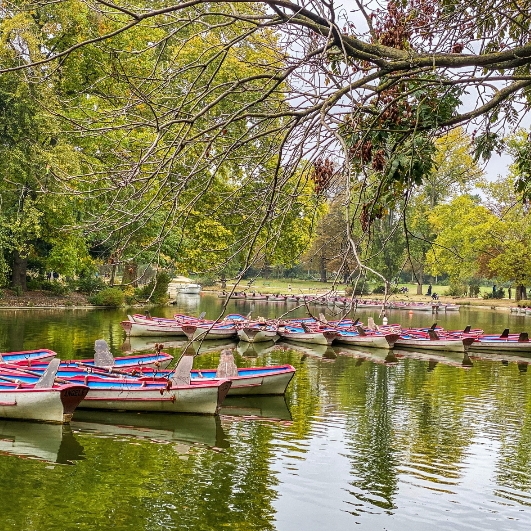 Bois de Vincennes