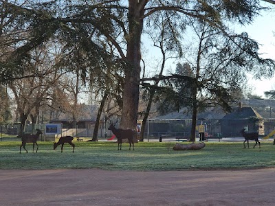 Photo 3 of Parc Georges Nouelle