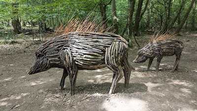 Photo 4 of Forêt Monumentale - Le monde dans un gland