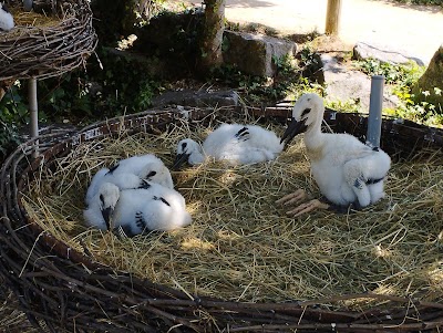 Photo 4 de Naturoparc