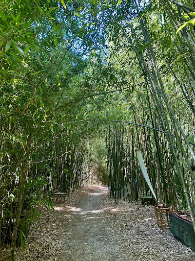 Photo 3 of Les Bambous du Mandarin