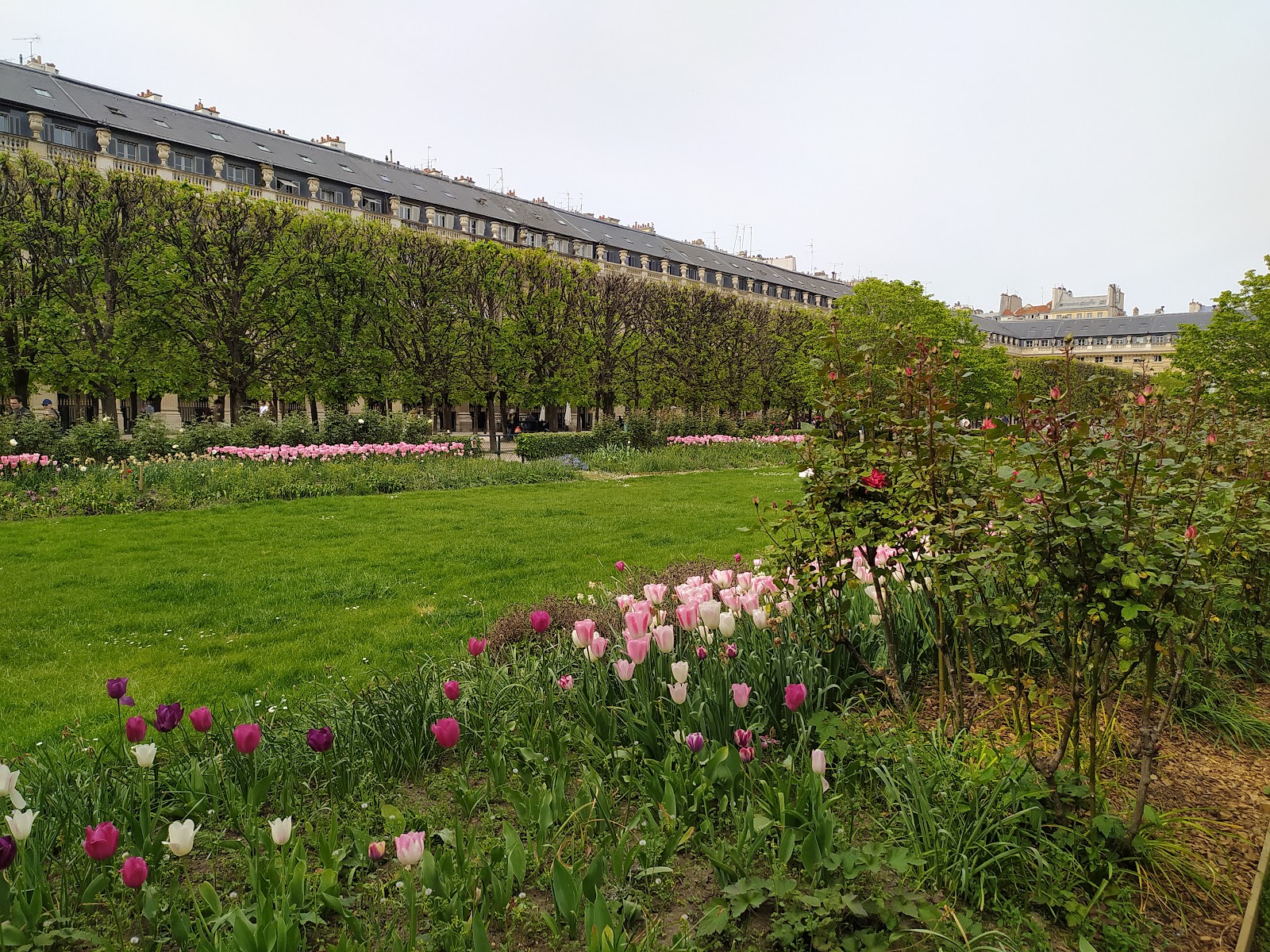 Photo 4 de Domaine National du Palais-Royal