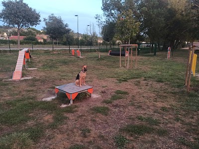 Photo 2 of Dog park
