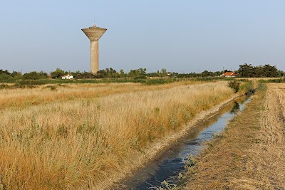 Kulmino