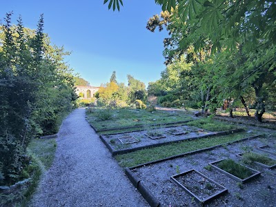 Photo 3 de Jardin Botanique du Jardin Public